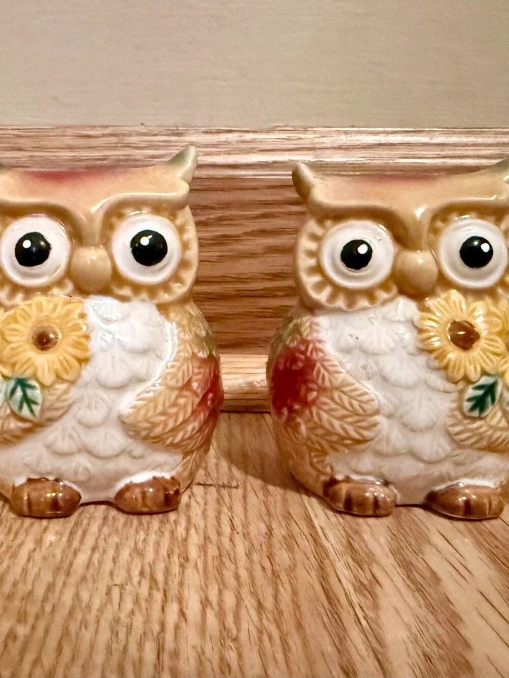 Cottagecore Vintage Salt And Pepper Shakers Set Ceramic Brown Owls and Sunflower